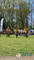 DBR_MTB-Heelsum_01